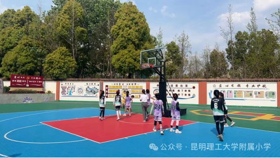 哪里可以找到篮球训练的模范案例_2